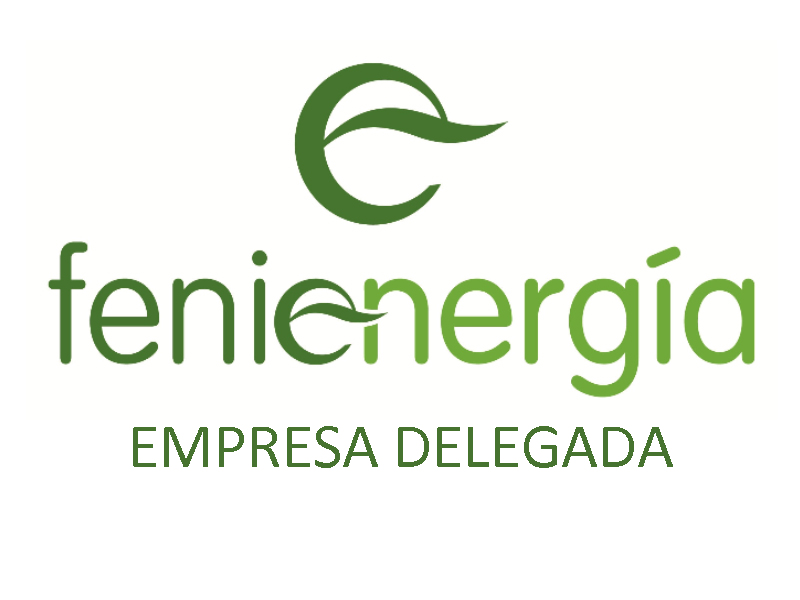 Logo de Fenie-Energia